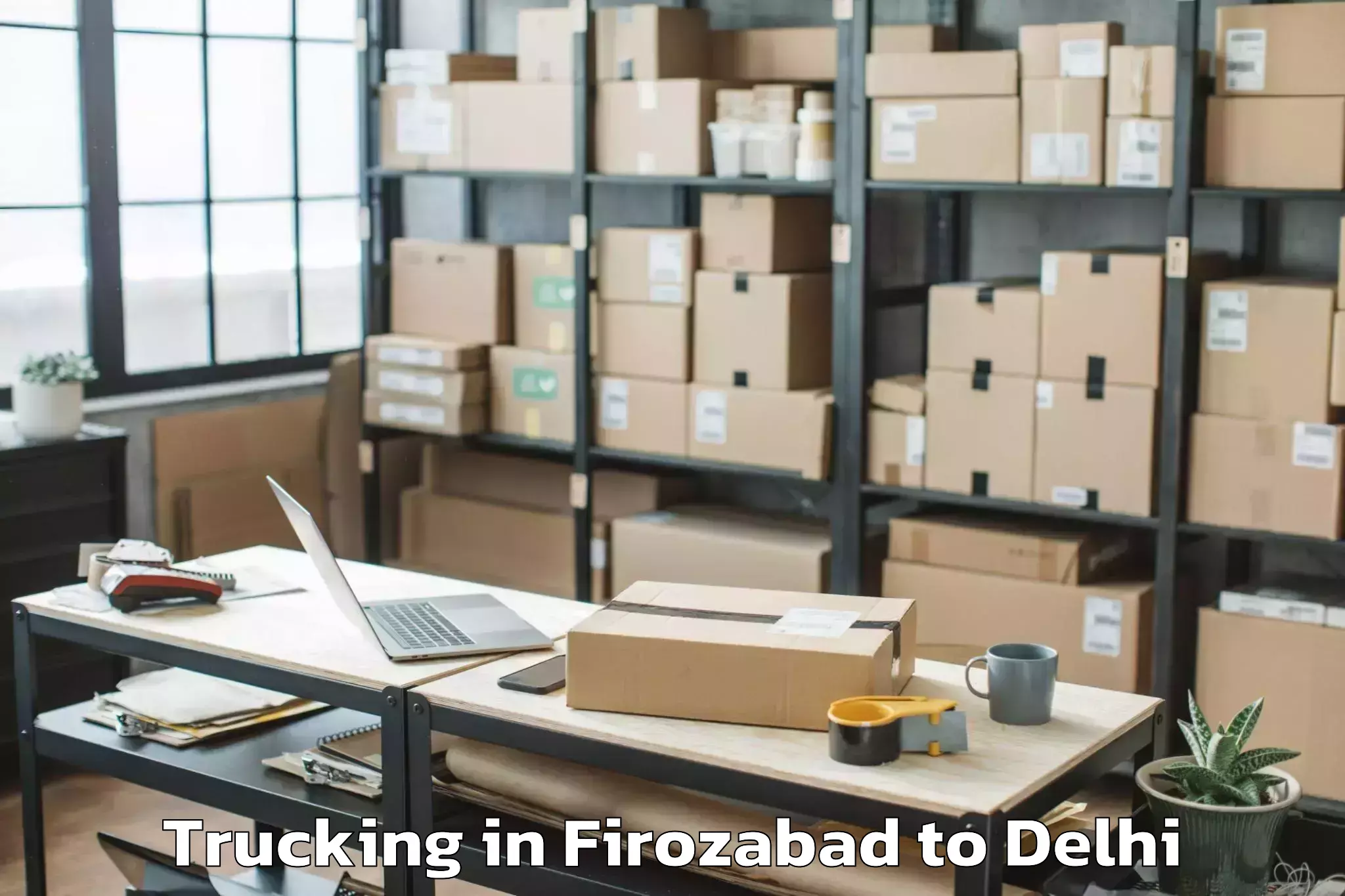 Book Firozabad to Parsvnath Mall Akshardham Trucking